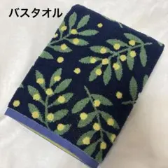 Item thumbnail for item 830ce59b-04af-457b-9654-ec3e78eb05d4