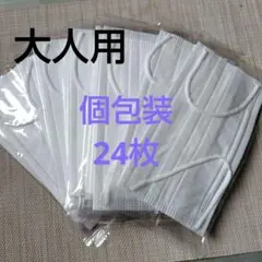 《不織布マスク》大人用［個包装タイプ］24枚