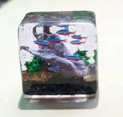 テトラおしゃれ水槽　3.5cm