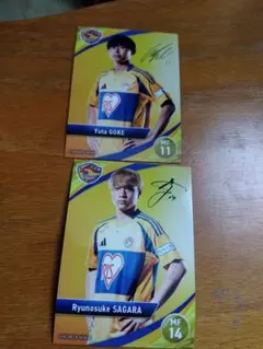 Item thumbnail for item 91c8a0ce-a8a5-4824-99a3-53e676ee7483