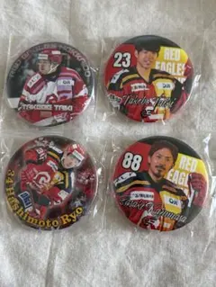 レッドイーグルス北海道 選手バッジ