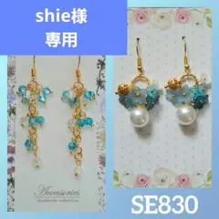 SE830 SPECIAL2点セット