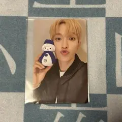 seventeen DxS ドギョム Serenade 特典 トレカ