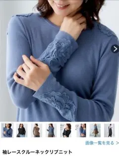 袖レース ニット