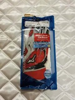 【たいぞー様予約分】ミズノバッティング用グローブ 両手用 1EJEA54261