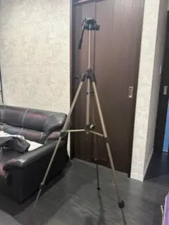 Item thumbnail for item 1719a230-a873-4e60-bb9e-e1913c5a1094