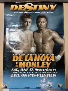 2025年最新】レノックス・ルイスの人気アイテム - メルカリ