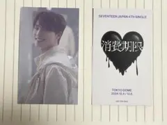 【ユニバ】 消費期限 会場限定 東京 ディノ