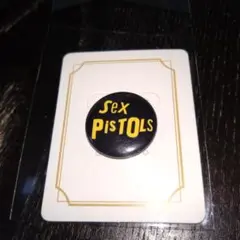 セックスピストルズ ミュージシャン