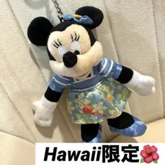【Hawaii限定】ミニーちゃんキーホルダー⭐️