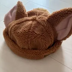 ディズニーシー　ファンキャップ　ピーターパン