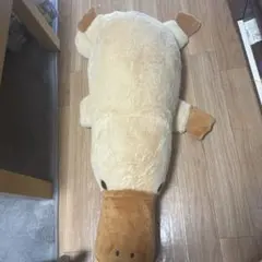 カモノハシ ロングぬいぐるみ