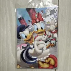 東京ディズニーリゾート ドナルド・デイジーポストカード