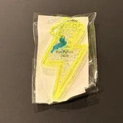 フェストイナズマ イナズマ びわ湖キーホルダー 黄色