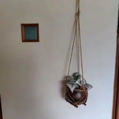 インテリア（ヤシの実）