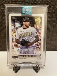 Item thumbnail for item 11775550-48a6-462e-b9b2-e6e57813d99e