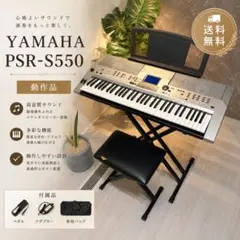 希少 EXCELSIOR 536 アコーディオン エキセルシャー ケース付き - メルカリ
