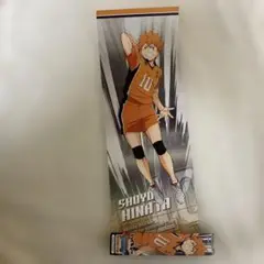 日向翔陽 キャラクターグッズ