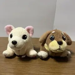 2026年最新】ころわん ぬいぐるみの人気アイテム - メルカリ