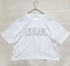 a.v.v ロゴ Tシャツ ホワイト 刺繍風デザイン　Lのサムネイル