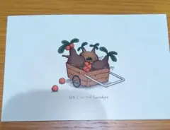 04 Limited Sazabys ポストカード