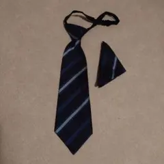 子供用ネクタイ　ハンカチーフ