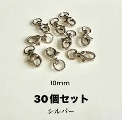 [在庫処分] ナスカン 10mm 30個セット シルバー