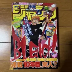 週刊少年ジャンプ 2010年 11号 BLEACH巻頭カラー エース最後回 - メルカリ