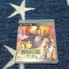 信長の野望 天道/コーエーテクモゲームス