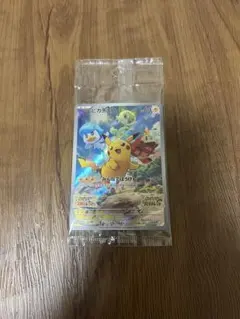 プロモ ポケモンカードゲーム