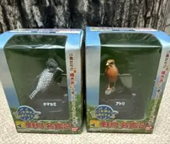 山渓カラー名鑑 8冊セット まとめ売り　レアセット レア 貴重 希少 列島 野鳥 山渓カラー名鑑 8冊セット まとめ売り レアセット レア 貴重