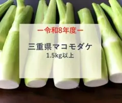 三重県産マコモダケ 1.5kg以上