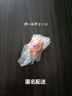 SKZOO つまんでつなげてマスコット　トゥェッキ