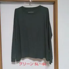綿100 長袖Tシャツ