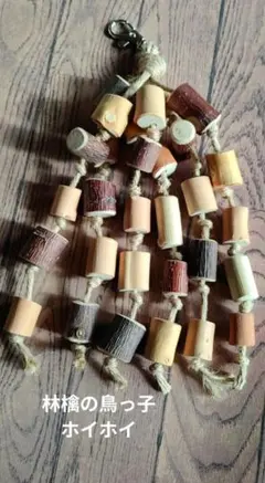 Item thumbnail for item 8fe6cbfd-e229-45af-aa91-9698cec67f4f