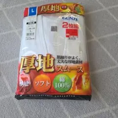 GUNZE Lサイズ 厚地下着 2枚組