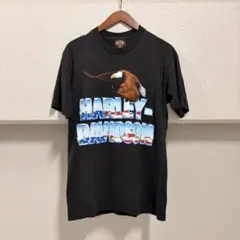 USA製 Harley Davidson 1992年 イーグル ボロ ダメージT