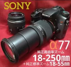 ✨スマホ転送セット付き✨❤️Sony SLT-A33 トリプルズームセット