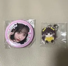 桜庭遥花グッツまとめ売り 桜庭遥花ちゃん グッズ まとめ売り 43点 セット - メルカリ