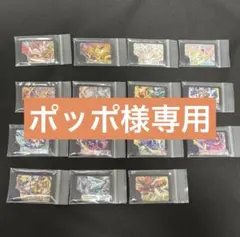 ポッポ様専用 ポケモンフレンダ