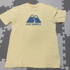 パタゴニア Tシャツ 2枚セット