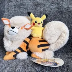 ポケモンセンターオキナワ限定 1周年記念品 ウインディ ピカチュウ