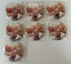 プロセカ 天馬司 グリッター缶バッジvol.8B 7個セット