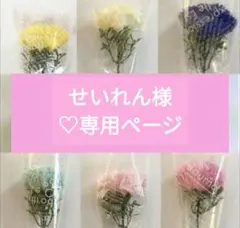 せいれん様専用