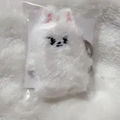 2026年最新】STRAYkids リノ キーホルダーの人気アイテム - メルカリ