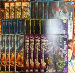 デュエルマスターズ　フィールド　２４枚セット　ニガアブシューム デュエキング