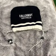 Item thumbnail for item 8434a016-288a-4f1f-9c41-69f3b7934734