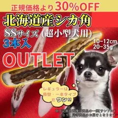 鹿の角 24時間以内発送 安心・安全の国産 国産の二ホン鹿の角【20cm 小型犬】鹿の角 犬
