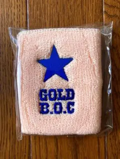 2025年最新】bump of chicken リストバンドの人気アイテム