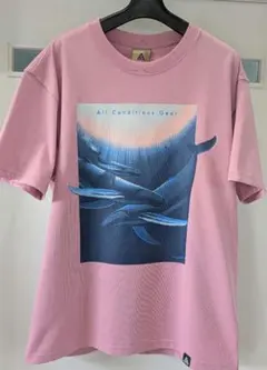 【希少】NIKE ACG × WYLAND クジラ アートTシャツ ピンク M